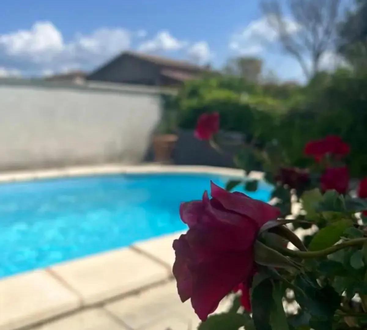 L'Isle En Coeur Air-Conditioned House With Garden And Swimming Pool 0*, L'Isle-sur-la-Sorgue France